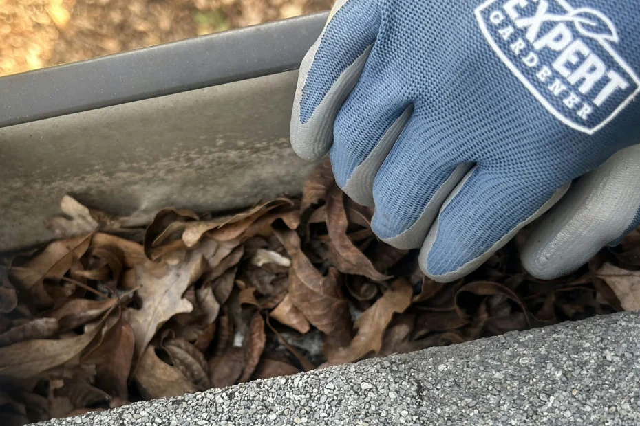 Gutter Cleaning Towson MD