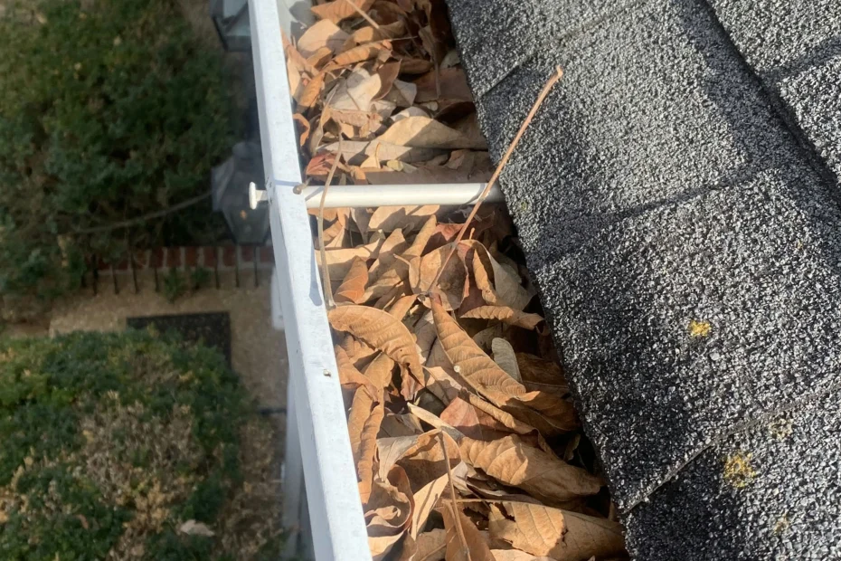 Gutter Cleaning Towson MD