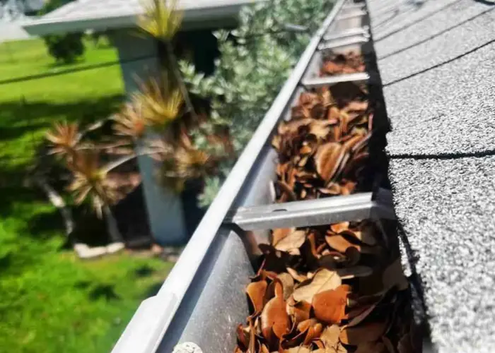 Gutter Cleaning Towson MD home page